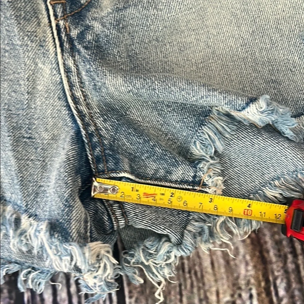 BlankNYC Distressed Denim Jean Shorts